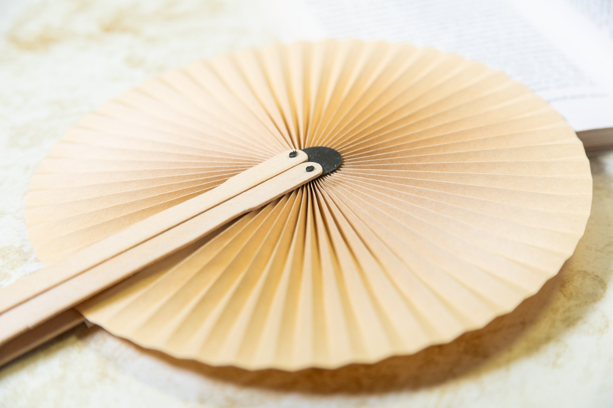 Wentylator ręczny P119357D