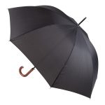 Parasol P111843D