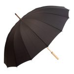 Parasol P117100D