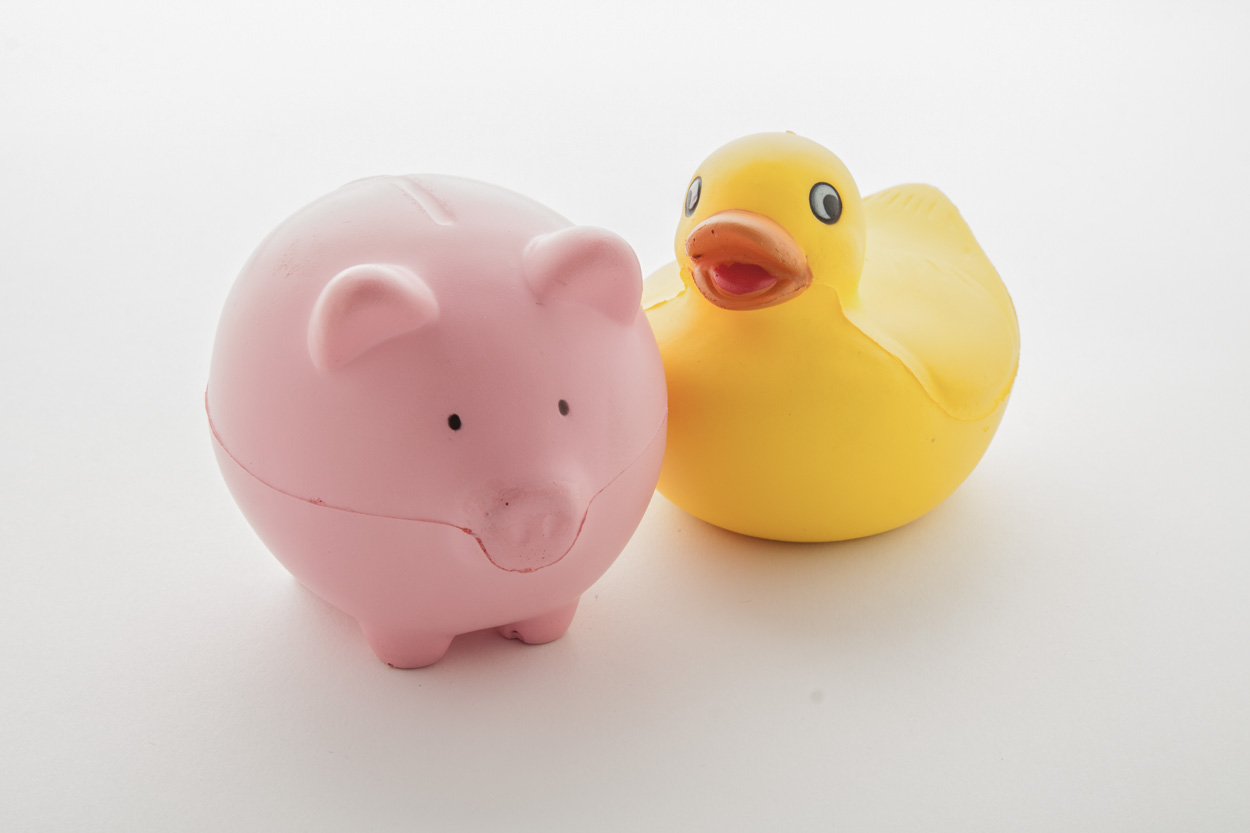 Antystres/kaczka P112103D