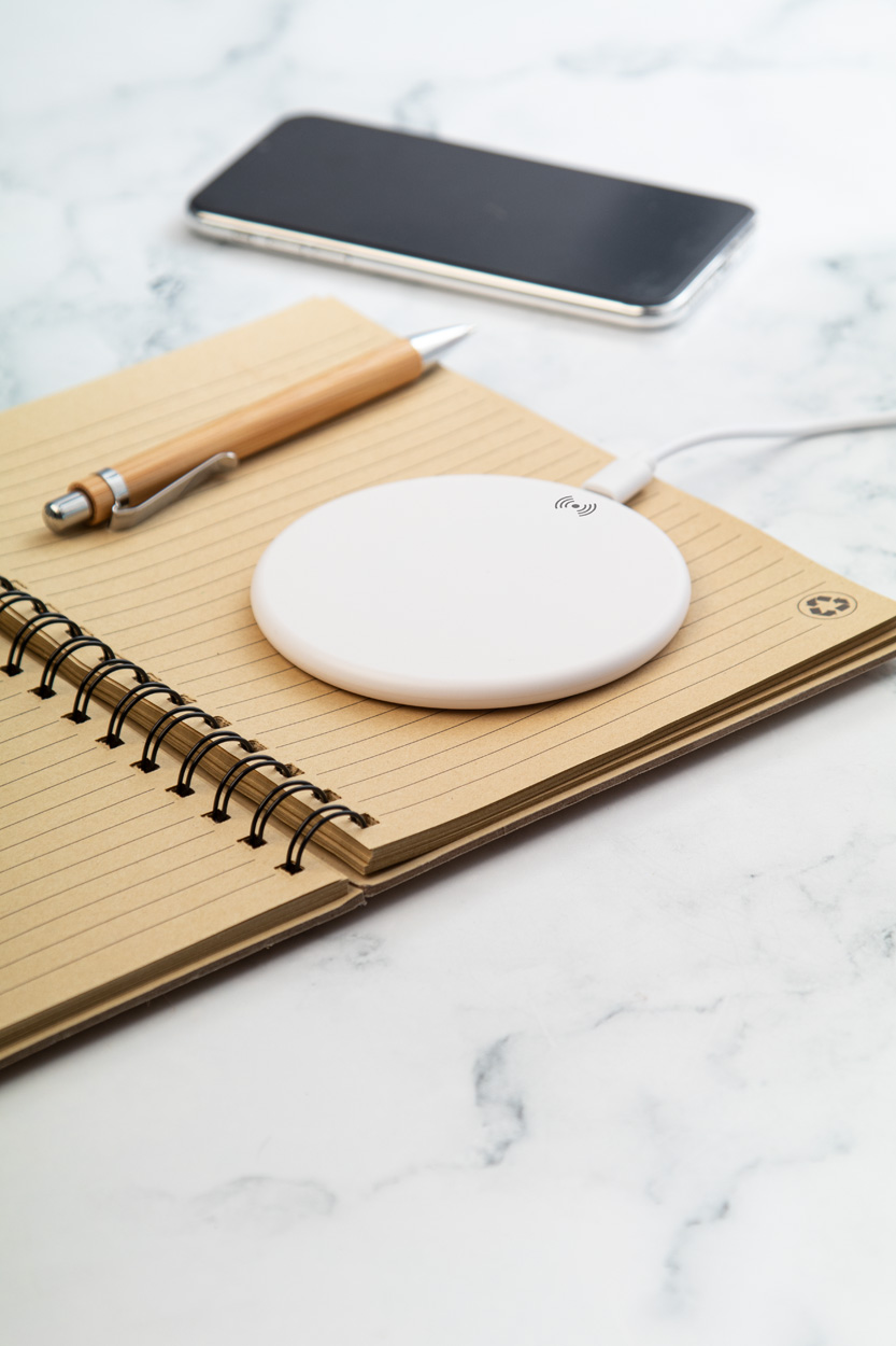 ładowarka indukcyjna RABS P117517D