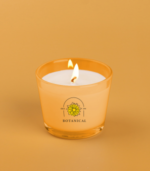 Elipse P066771M MAX-Ca010-W