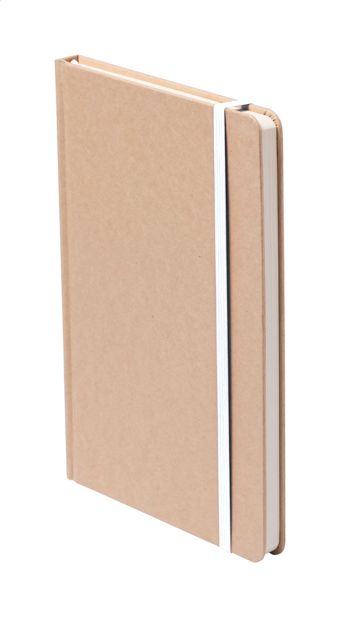 Notes P111311D AN-AP781196-W