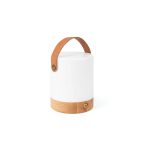 Lampka na biurko, latarenka VINGA Narni RABS P101753X