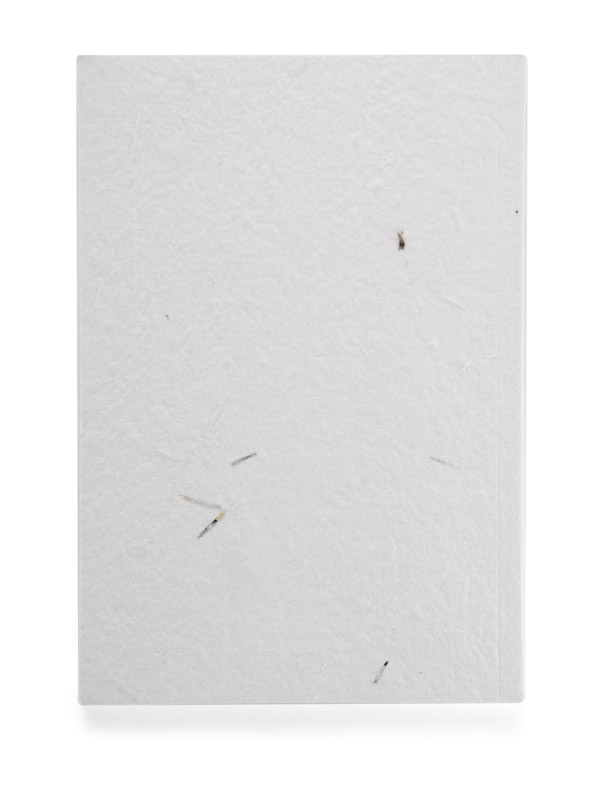 Notes MARIGOLD A5 P122149A