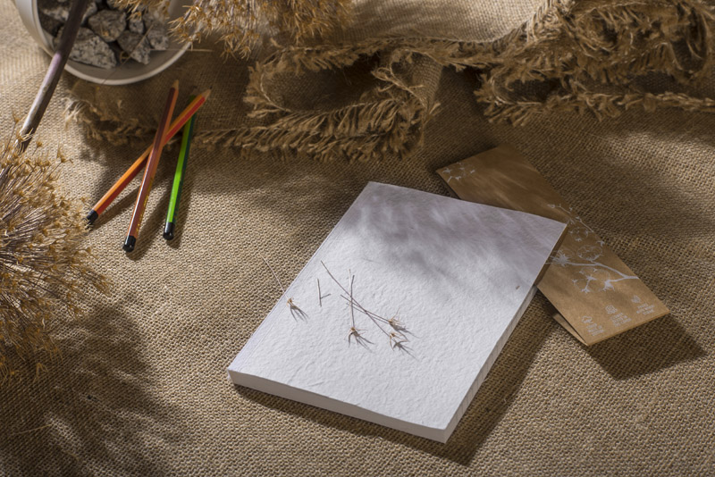 Notes MARIGOLD A5 P122149A