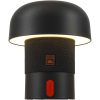 Kooduu Sensa Play Mini przenośny głośnik JBL i lampa P130797C antracyt