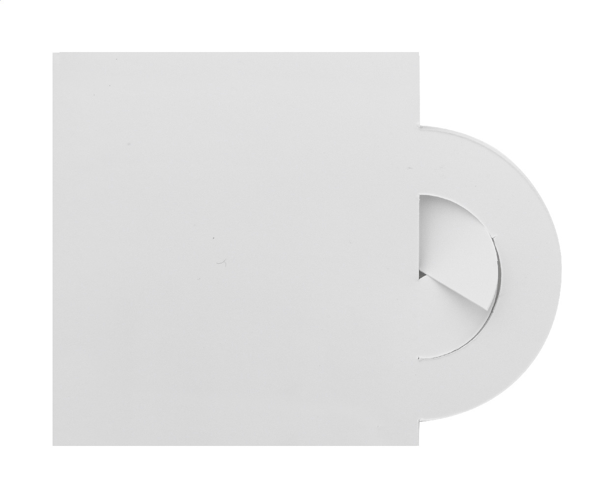 Niestandardowa torebka herbaty, zielona herbata P131886D