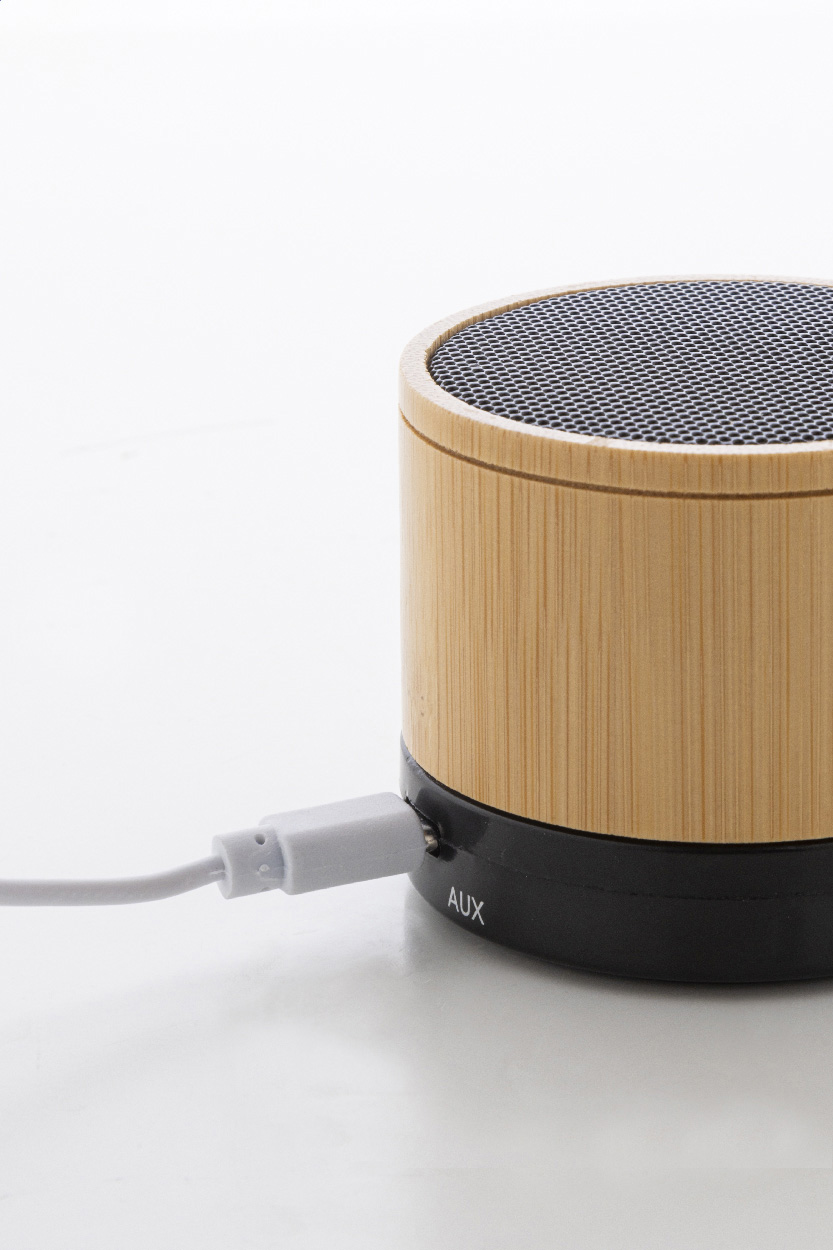 Głośnik bezprzewodowy RABS P131823D