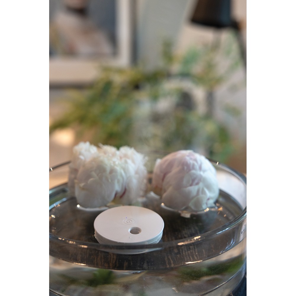 Nawilżacz powietrza Breevia P130459X