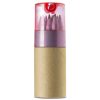 Zestaw kredek, temperówka P132435X czerwony Zestaw kredek, temperówka P132435X czerwony