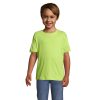 REGENT Dziecięcy T-SHIRT P129432O apple green