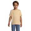 REGENT Dziecięcy T-SHIRT P129432O sand