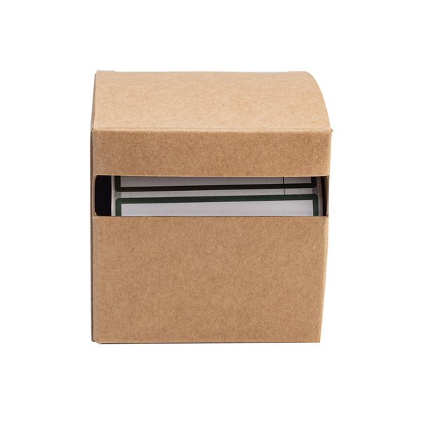 Memo naklejki Tina P132848R