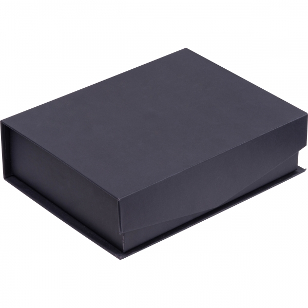 Trofeum BURNLEY P133492G