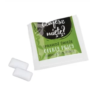 GUMA DO ŻUCIA 1.2.3. MINTS P137057Z SL-0471/SUGARFREE