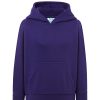 Bluza dresowa swrk kng kid sweatshirt kangaroo P139391H purple