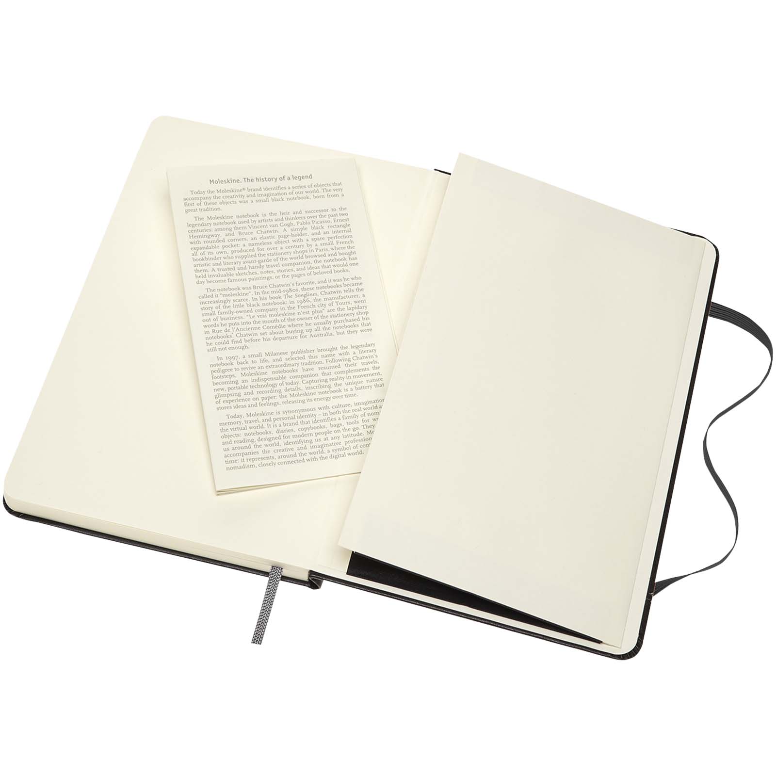 Moleskine średni szkicownik artystyczny P144439C