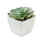Mini sztuczna roślina P147343O