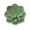 Mini sztuczna roślina P147343O