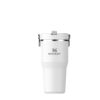 Stanley IceFlow Flip Straw 0.6L P120125P frost