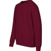 Bluza dziecięca Crew P150721F garnet