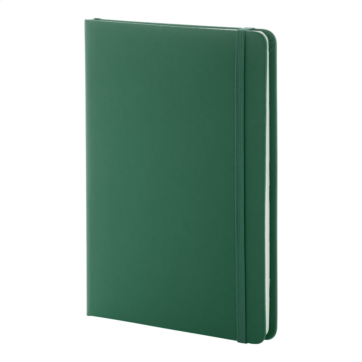 Notes RPU P117600D zielony