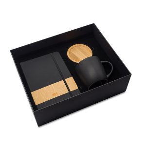 Zestaw upominkowy Aston P151182R