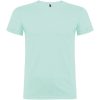 Beagle koszulka męska z krótkim rękawem P078007C zielony miętowy