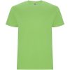 Stafford koszulka męska z krótkim rękawem P080744C oasis green