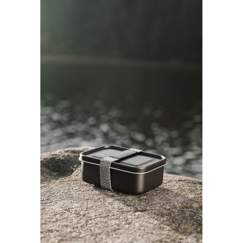 Lunchbox, pudełko śniadaniowe VINGA Parks P151322X