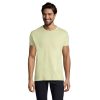 IMPERIAL MEN T-Shirt 190g P128706O sage green