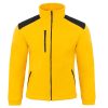 Polar flra 340 premium P139621H gold / black