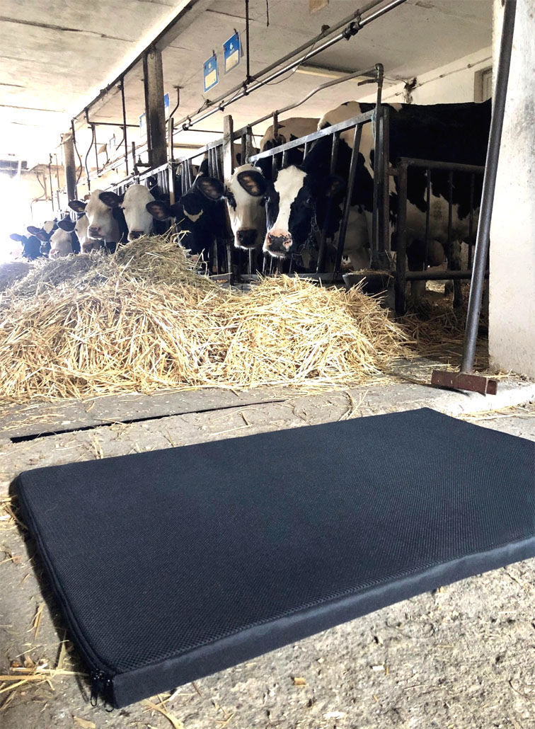 Mata dezynfekcyjna 100x60x3cm P065162J