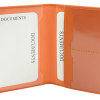 Etui na dokumenty RFID P064981J