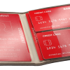Etui na dokumenty RFID P065022J