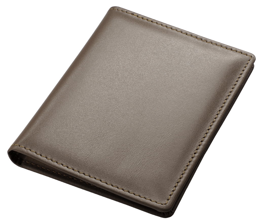 Etui na dokumenty RFID P065022J