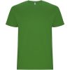 Stafford koszulka męska z krótkim rękawem P080744C grass green