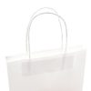 Torba papierowa A4 | Dialla BX P156156X 8 Torba papierowa A4 | Dialla BX P156156X