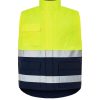 hv11u01 P155030H navy / gold fluor