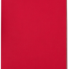 Notes Biggy GRS P158854B czerwony
