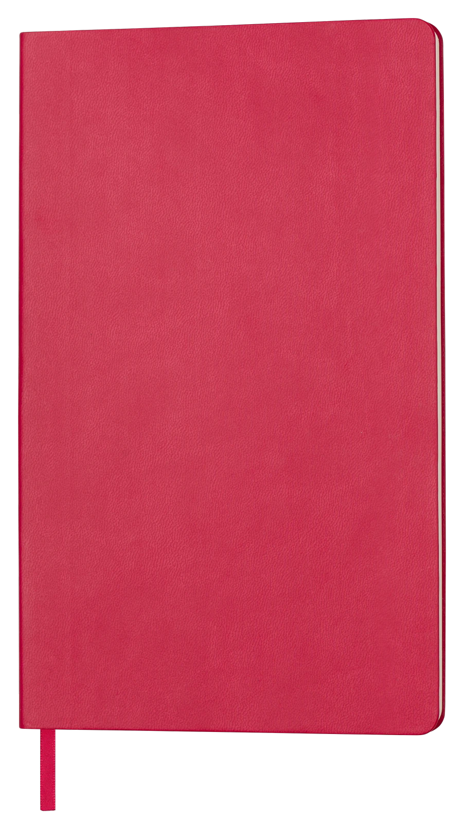 Notes Audrey P159121B czerwony