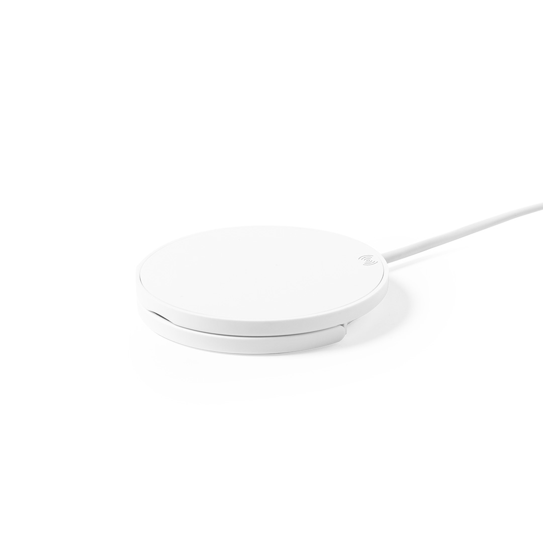 Ładowarka Dixlem RCS P166970T