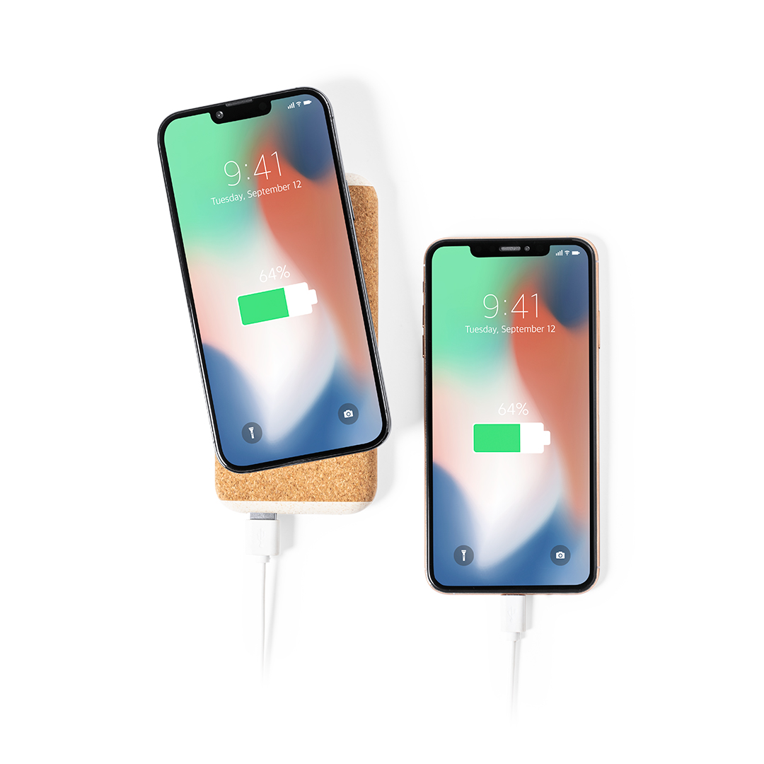 Power bank Limerick P167450T