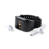 Smartwatch Pinsir P167451T