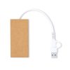 Hub USB Hasgar P168203T