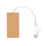Hub USB Hasgar P168203T 