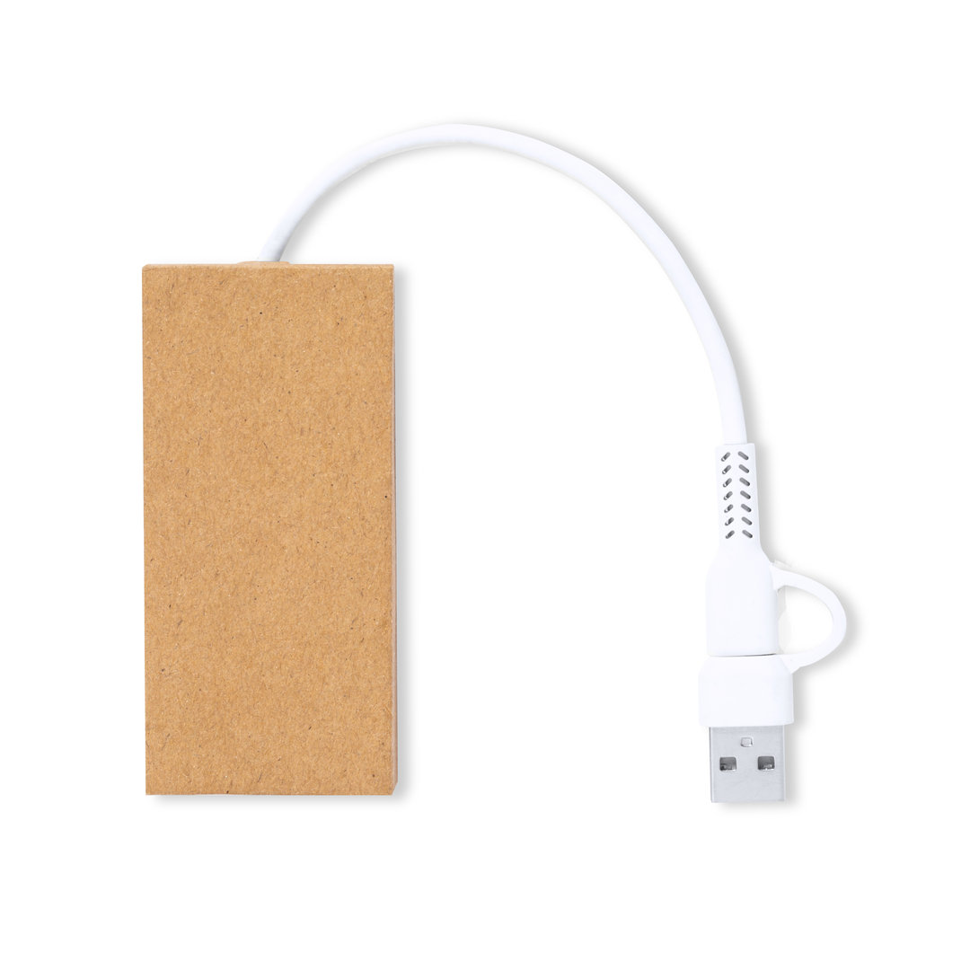 Hub USB Hasgar P168203T MKT-1869S/T