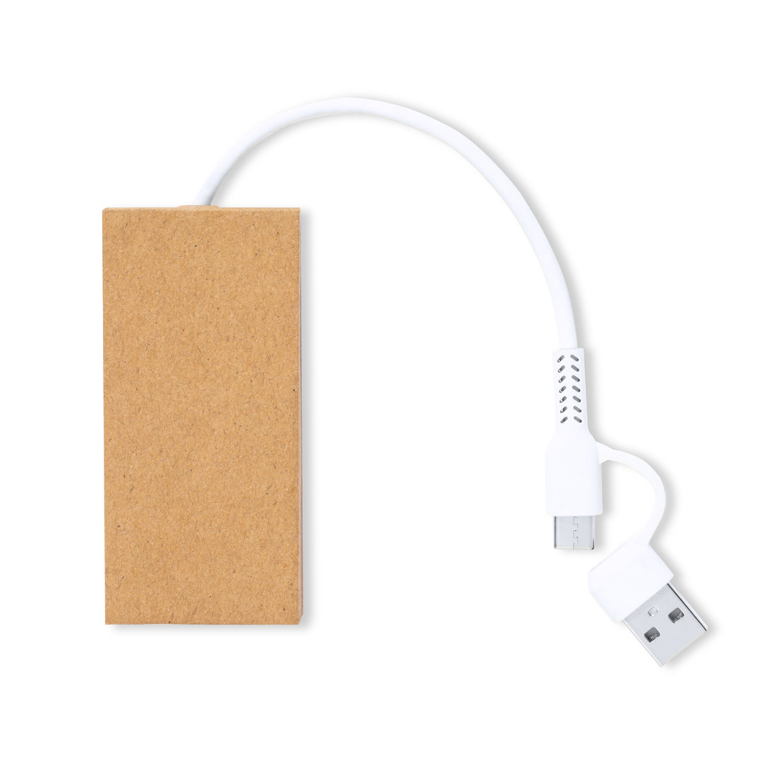 Hub USB Hasgar P168203T