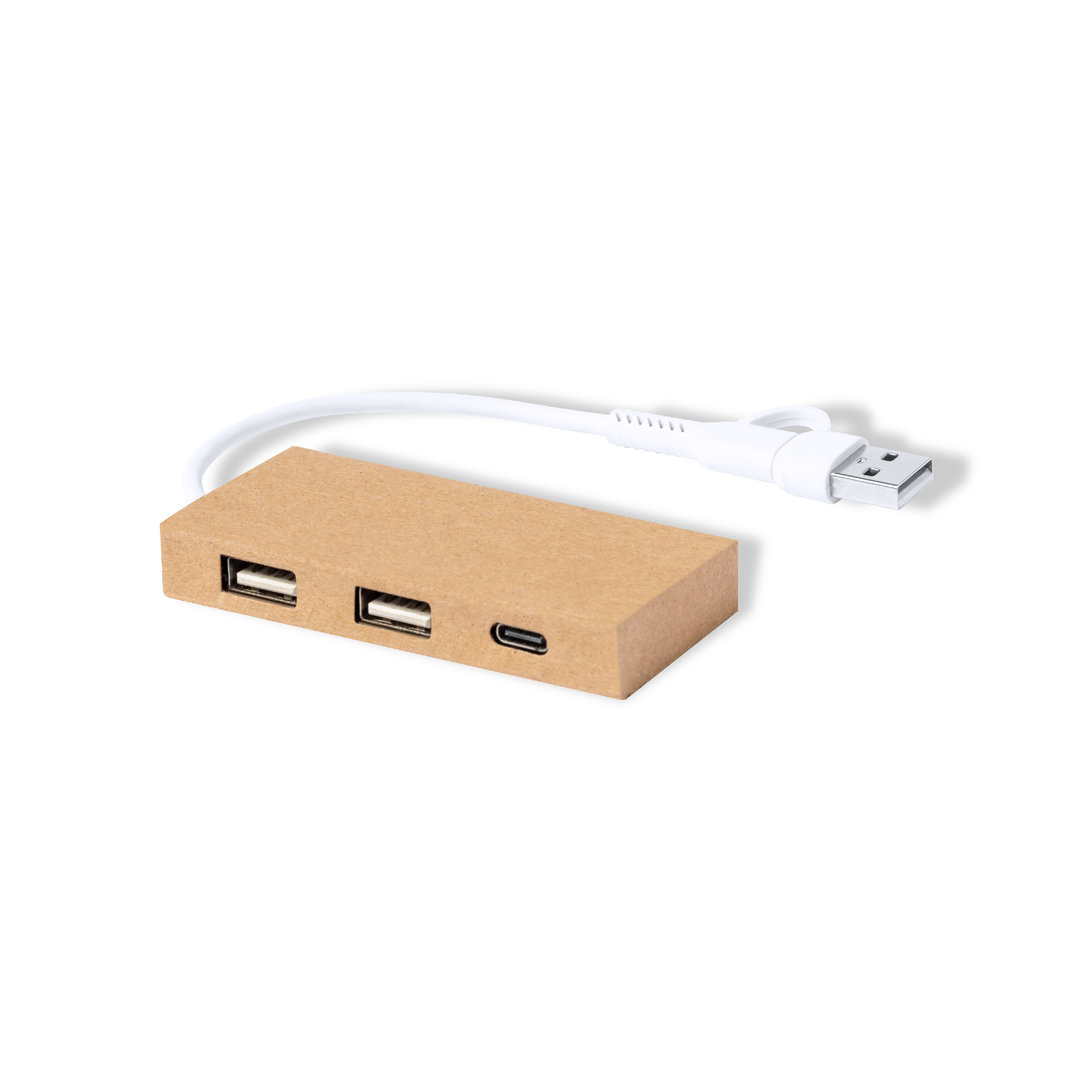 Hub USB Hasgar P168203T